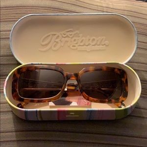 NEW Brighton Sunglasses